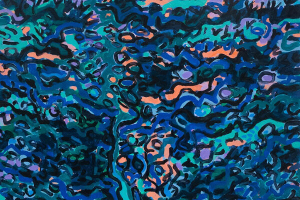 rebeccahossackartgallery-barbara-macfarlane-through-the-forest-to-l-ouvez-gorge-2022